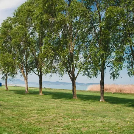 D&b Lelle * Balatonlelle